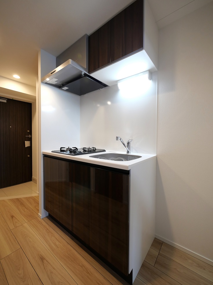 オーパスホームズ大泉学園Ⅱ0702号室 同建物別部屋の参考画像