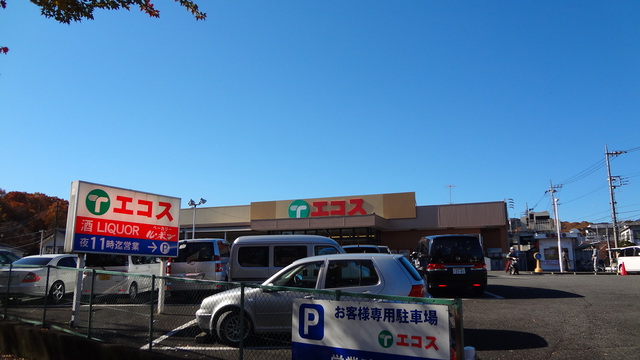 リーブァ城山0207号室 エコスTAIRAYA元八王子店