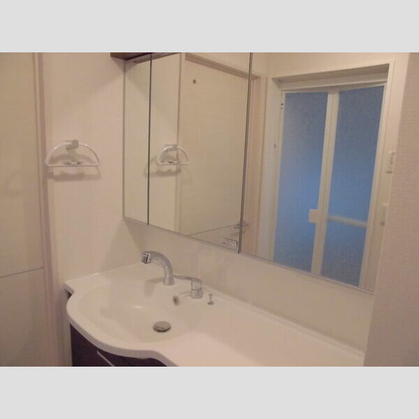 メゾン ド ショコラ202号室 メゾン ド ショコラ202 洗髪洗面化粧台