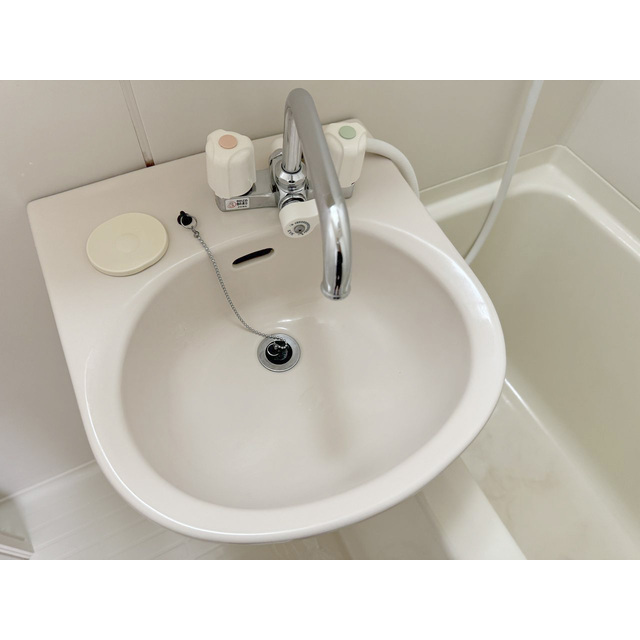 ハイムグリンディル406号室 洗面