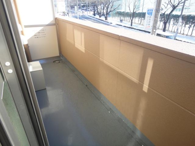 ソレイユ東大和202号室 バルコニー