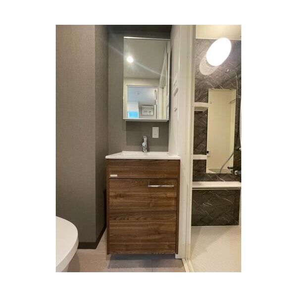 VISTA　ASAGAYA.N403号室 洗面