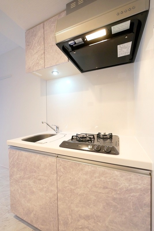 ハーモニーレジデンス東京八広ザ・スプレッド1階 内観