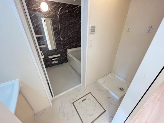 フェリーチェ101号室 洗面脱衣所