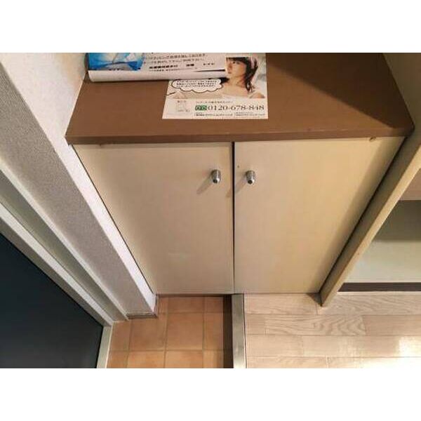 メゾン・ド・アンピール0207号室 玄関