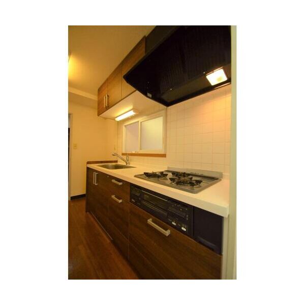 グランフォーレ502号室 キッチン