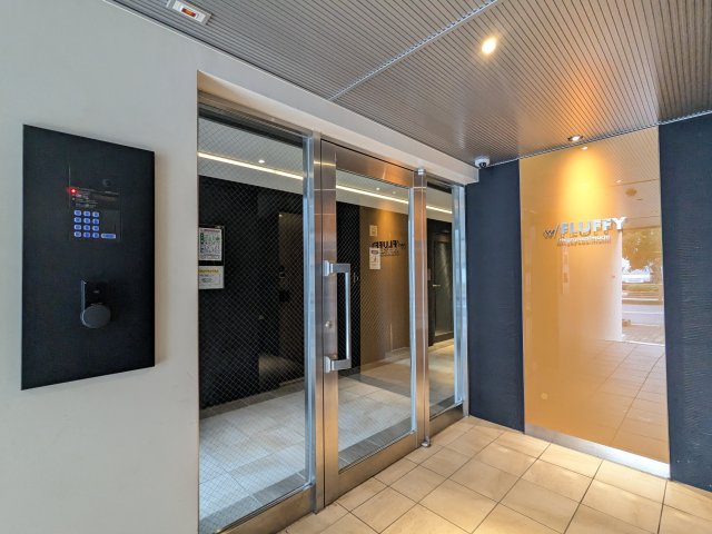 フラッフィー市谷台町0301号室 エントランス