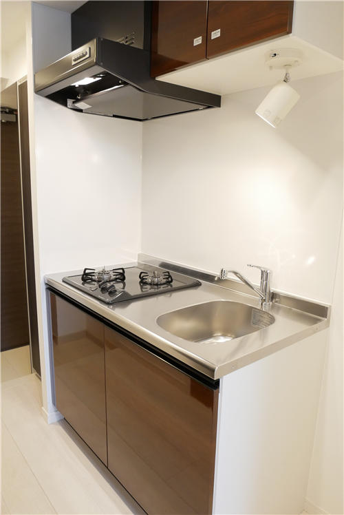 ラフィスタ横浜吉野町Ⅱ 内観