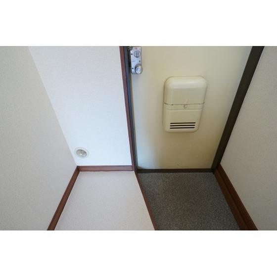 大島コーポラス0202号室 ドアポスト