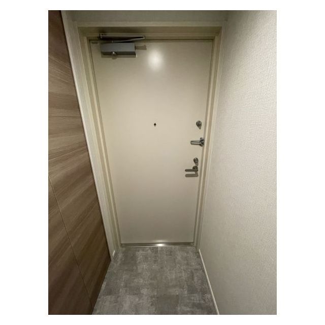 ドゥーエ亀戸Ⅱ1509号室 玄関