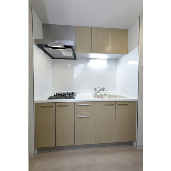 クリオ　ラモード学芸大学Ⅱ0306号室 キッチン