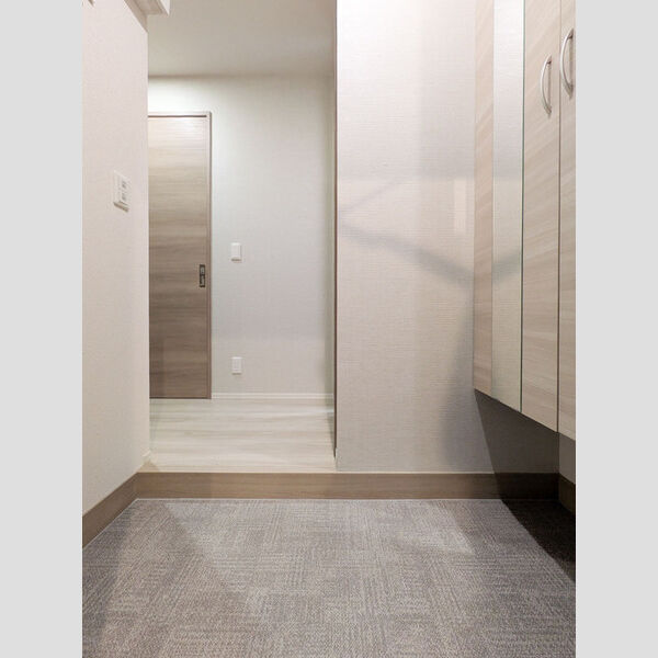 D-ROOM PREMIUM 多磨霊園駅101号室 玄関