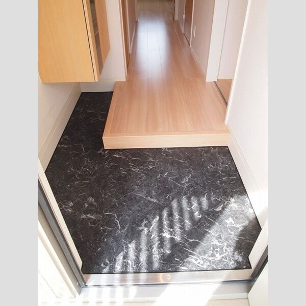 ダイヤモンド ミスト 玄関