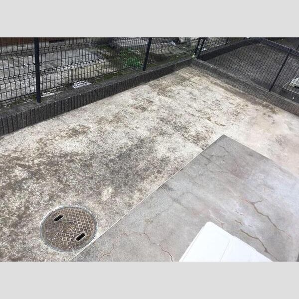 プチパレス101号室 庭