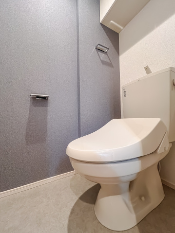 アイル グランデ川口312号室 トイレ