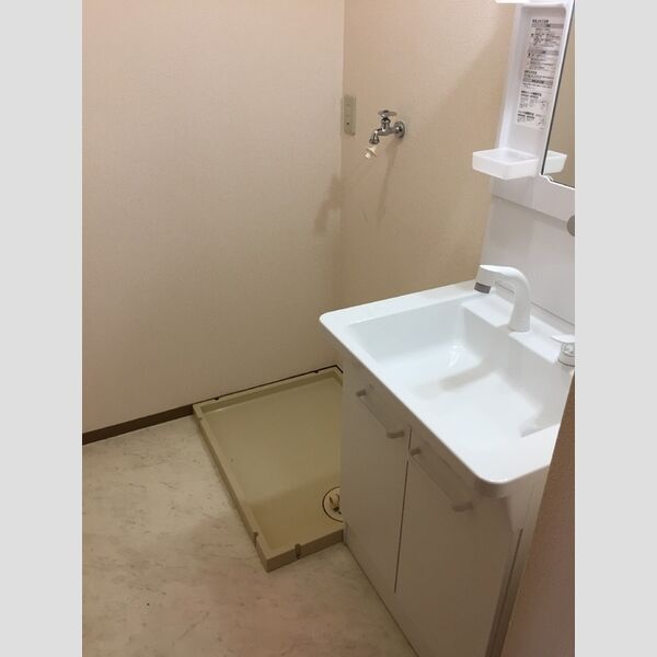 ニューグランドール 洗面室