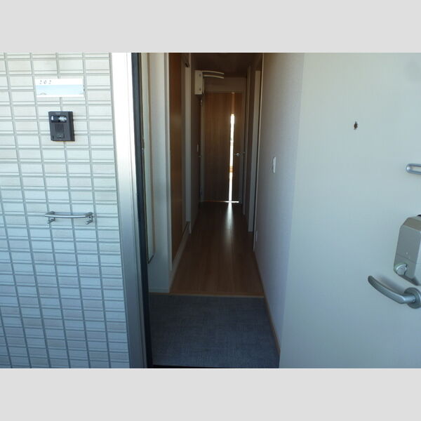 安行藤八D-room　Ⅱ202号室 玄関スペース