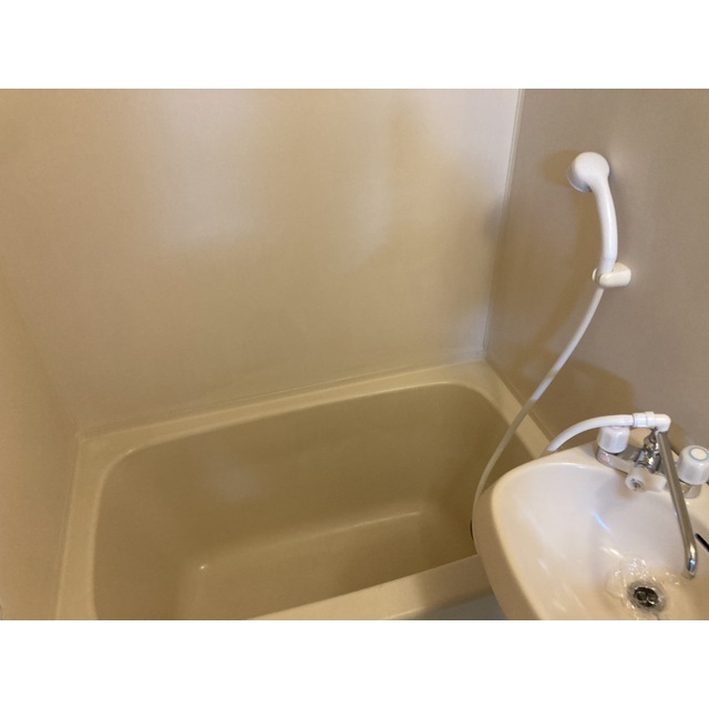 パールメゾンシオノ405号室 同建物別部屋の参考画像