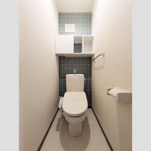 ドミールM日進 トイレ