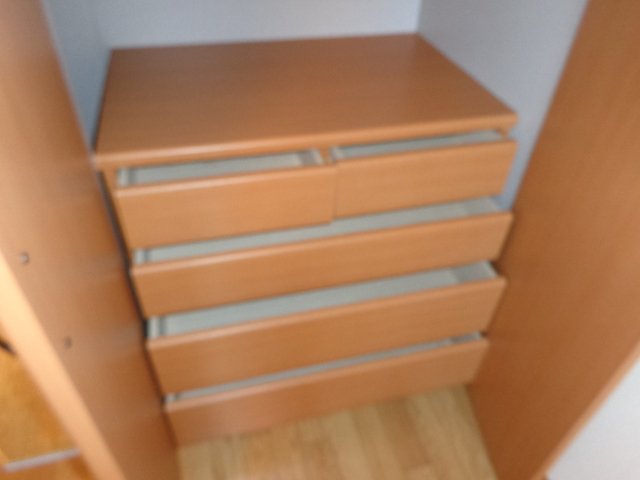 パラシオン平塚 収納