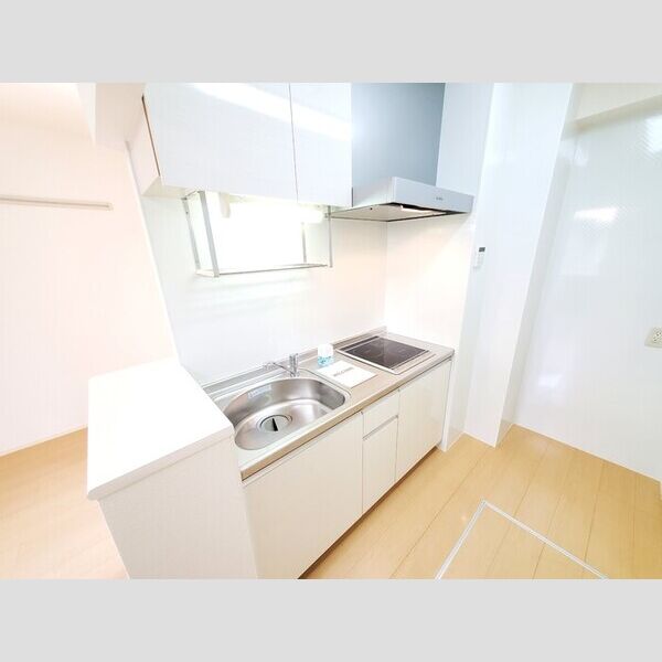 アペゼ 【参考画像】類似タイプ102の画像です