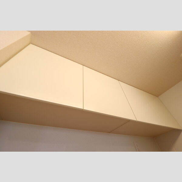 ロイヤルコートC203号室 キッチン　収納