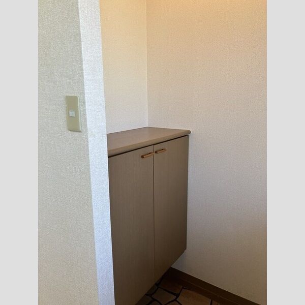 グランシャリオ シューズボックス