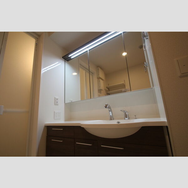 Riziere六町(リジエルロクチョウ)103号室 洗面