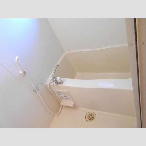 ヌーベル202号室 浴室