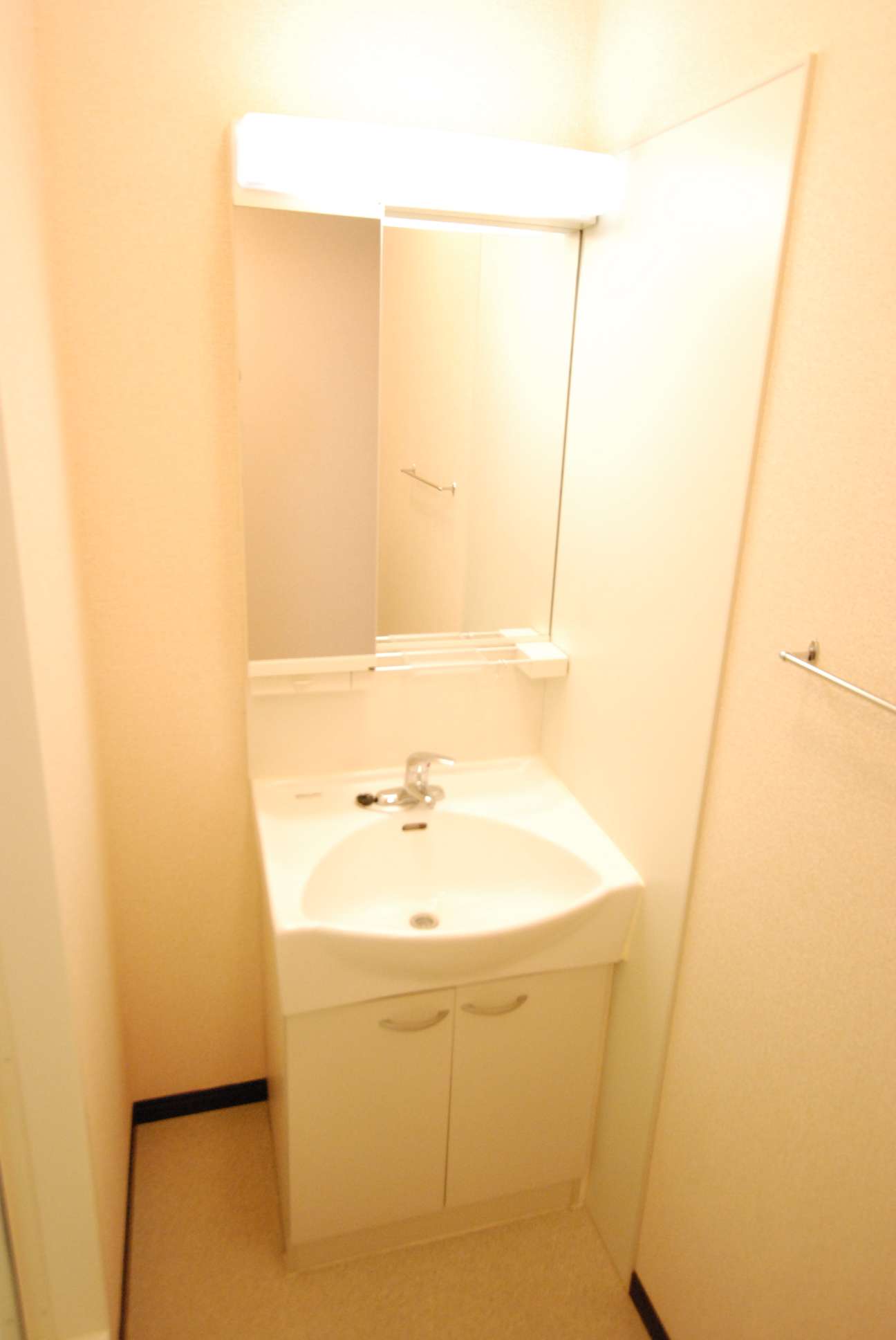 レオネクストキョウエダ 独立洗面台