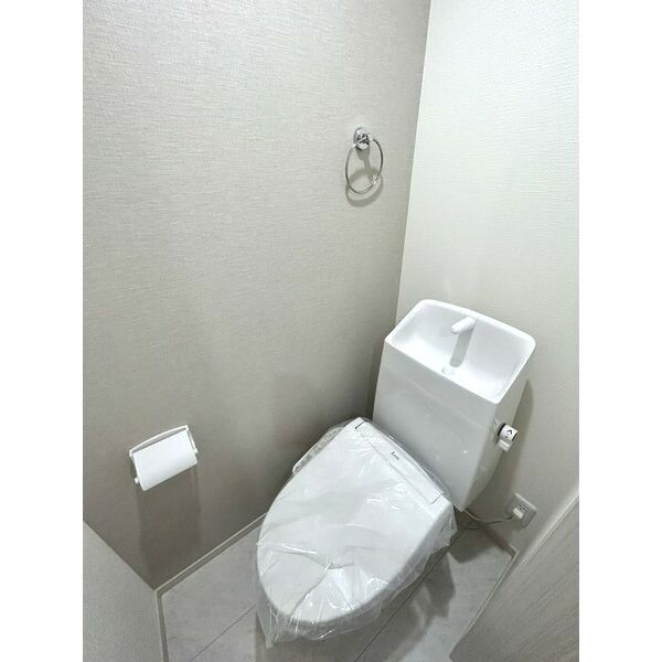 Ambition袋山303号室 トイレ