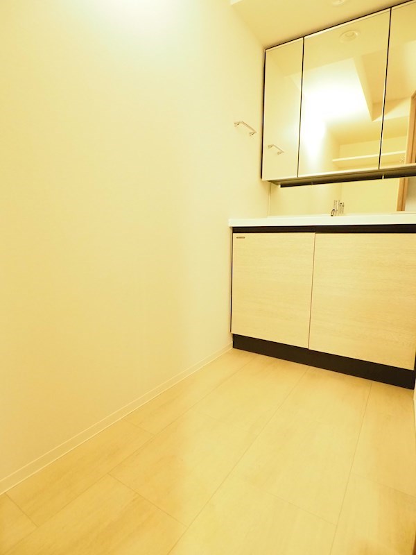 クレヴィアリグゼ日暮里10階 洗面