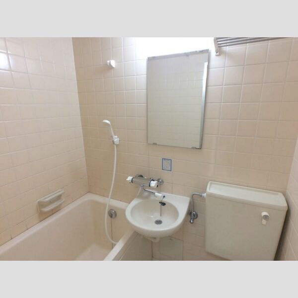 メゾン・ド・ドリーム横浜15号室 洗面台