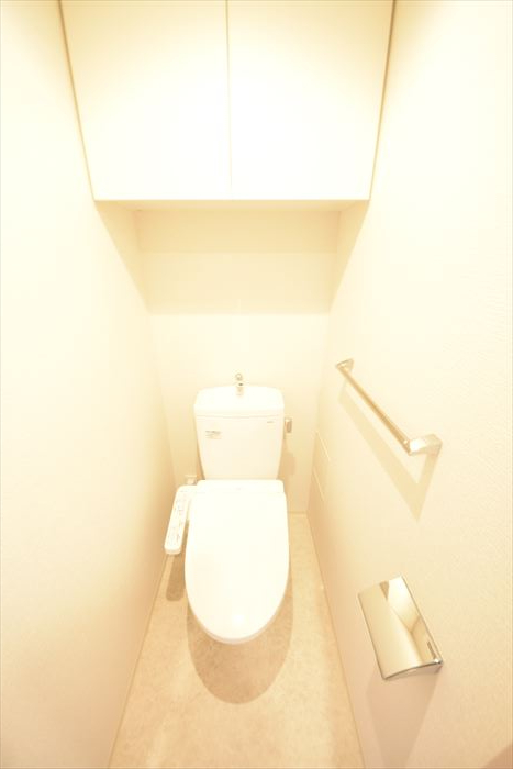 グランパセオ清澄白河Ⅱ0203号室 トイレ