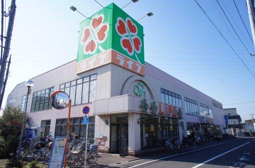 京成小岩駅、総務線小岩駅　葛飾区細田戸建 【スーパー】ライフ 葛飾鎌倉店まで636ｍ
