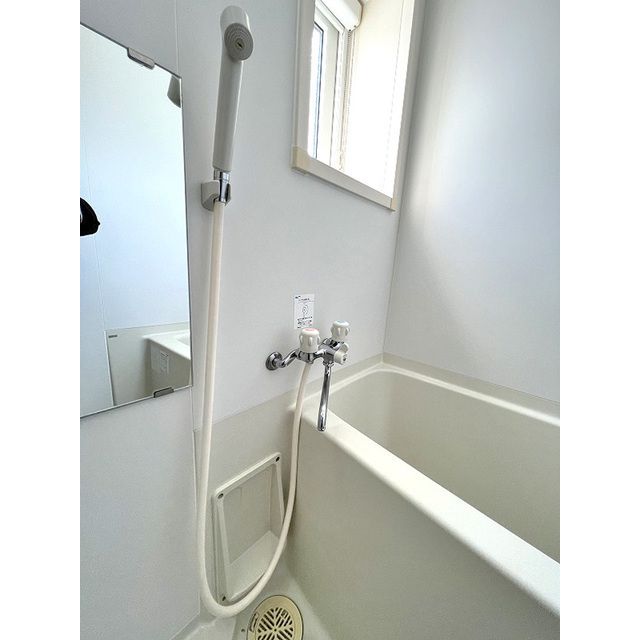 アンリシェール橋本Ａ501号室 浴室に窓あり