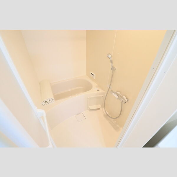 D Paina 中野島Ⅱ203号室 浴室