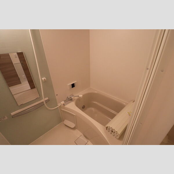 グランチェスタ浦和美園 浴室