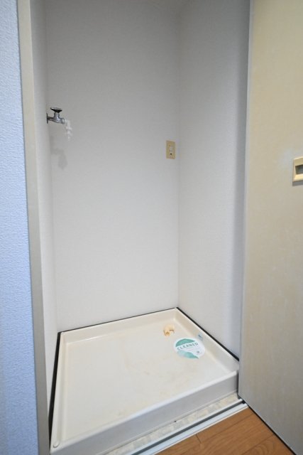 グリーンプラザ東あずま 室内洗濯機置場