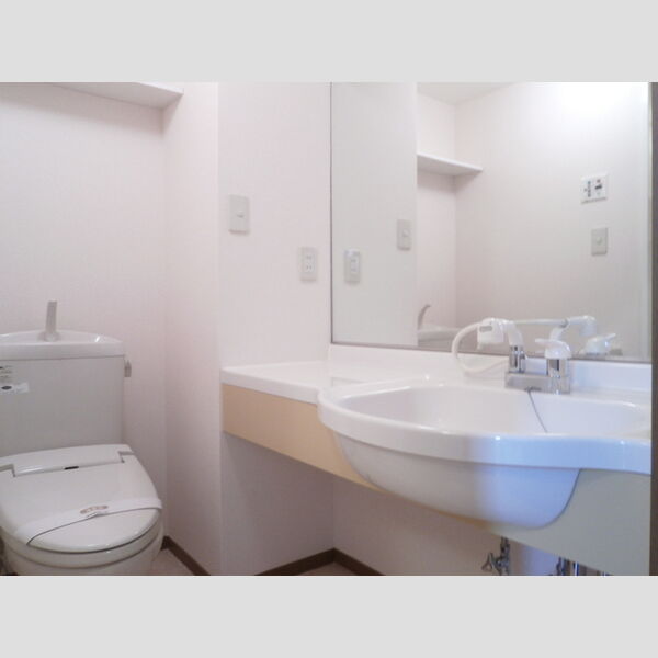 ハーモニーひの203号室 パウダールーム