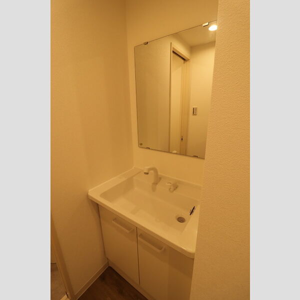 アース202号室 洗髪洗面化粧台