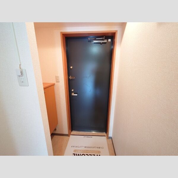 プラムアドニス 玄関