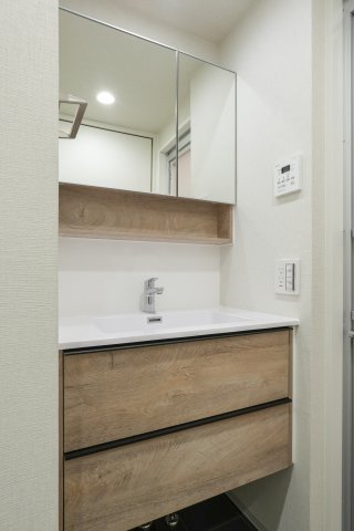 リビオメゾン大岡山401号室 洗面