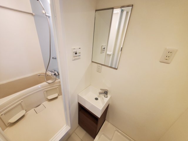 Ｍａｉｓｏｎ　ｄｅ　Ｇｉｎｚａ　Ｅａｓｔ401号室 洗面