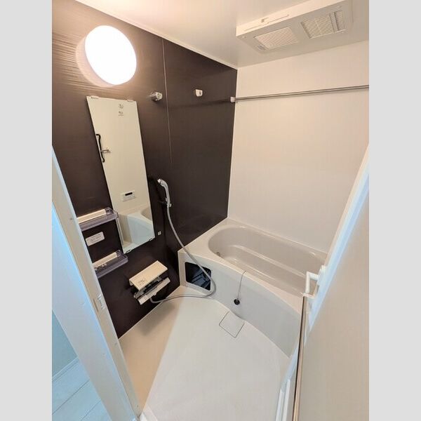 ロイジェント潮見0307号室 バス