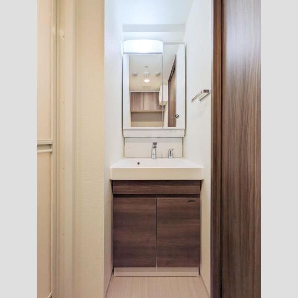 S-RESIDENCE横濱吉野町burgeon404号室 洗面