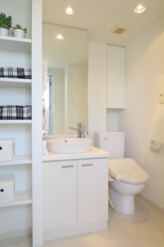 レニール本駒込9階 洗面