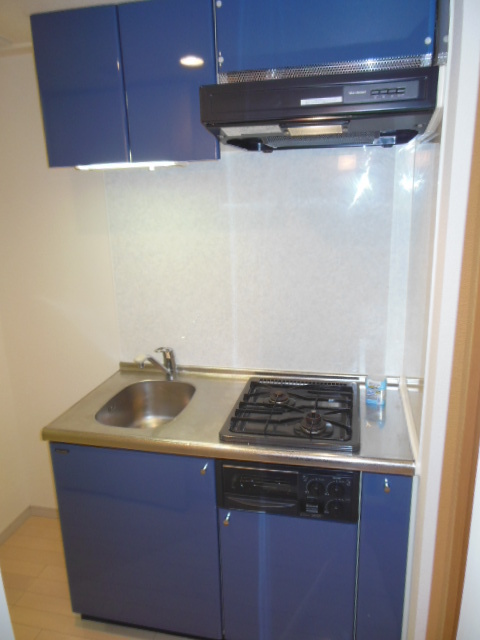 グランド・ガーラ代田橋8階 キッチン