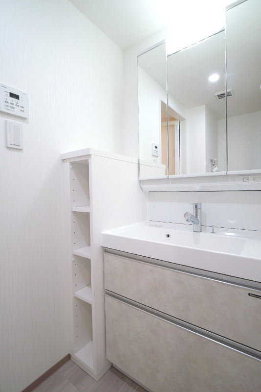プレジオ川口10階 洗面