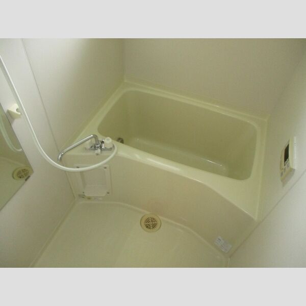 Carinopensee202号室 浴室